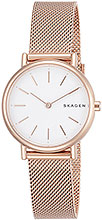 SKAGEN SKW2694