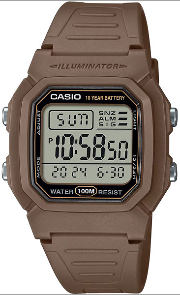 CASIO W-800H-5A