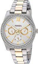 FOSSIL ES4316