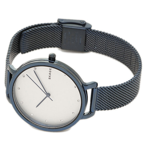 Skagen skw2579 hotsell