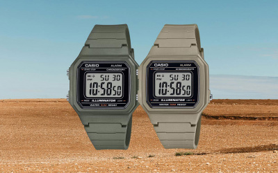 CASIO W-217H-5A