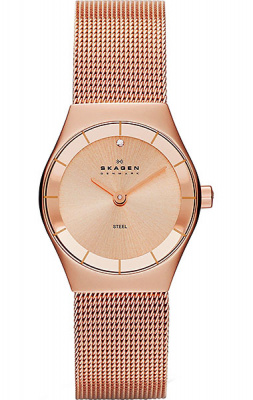 SKAGEN SKW2046