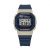 CASIO DW-5610BEP-2D