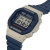 CASIO DW-5610BEP-2D