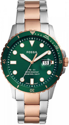 FOSSIL FS5743