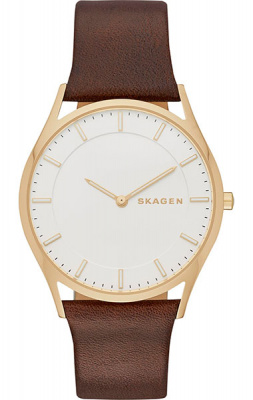 SKAGEN SKW6225