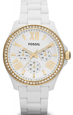 FOSSIL AM4493