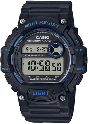 CASIO TRT-110H-2A